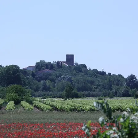 ベッド・アンド・ブレックファスト Chateau De *